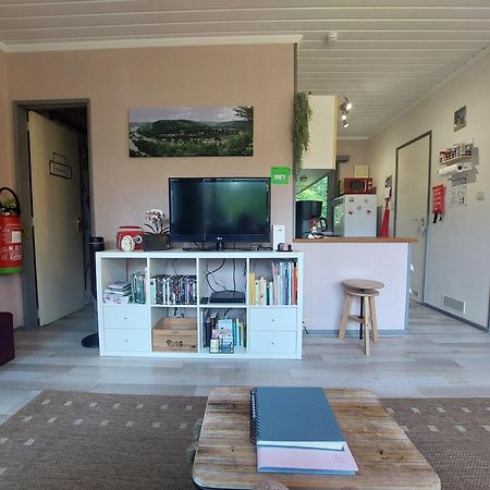 Le Petit Chalet - Bungalow Waulsort Экстерьер фото