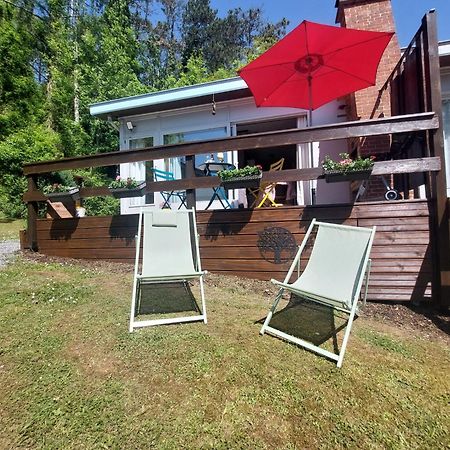 Le Petit Chalet - Bungalow Waulsort Экстерьер фото